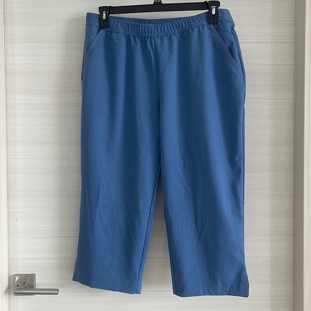 NWT EMILY DANIELS PULL ON CAPRI BLUE SIZE LARGE